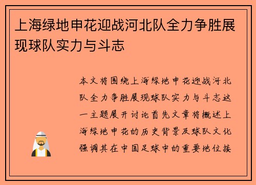上海绿地申花迎战河北队全力争胜展现球队实力与斗志