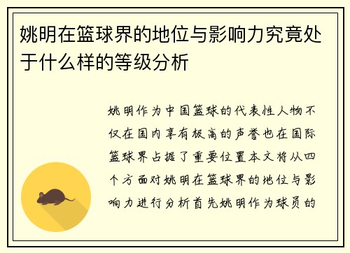 姚明在篮球界的地位与影响力究竟处于什么样的等级分析